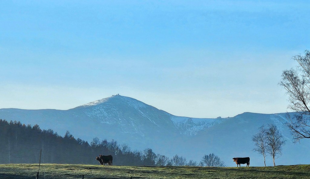 Zapowiedź spotkania z fotografią Waldemara&nbsp;Grzelaka
