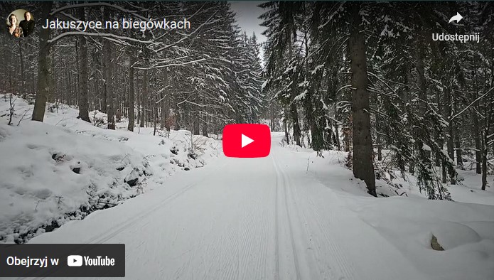 JAKUSZYCE NA BIEGÓWKACH