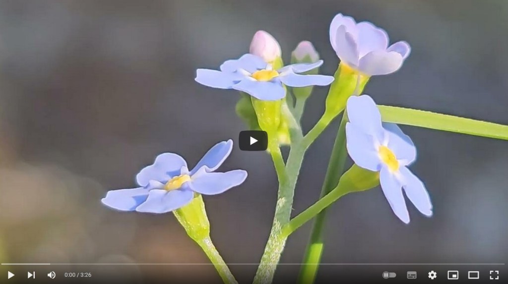 PARALUZJA wycieczka na śnieżkę i&nbsp;zaproszenie