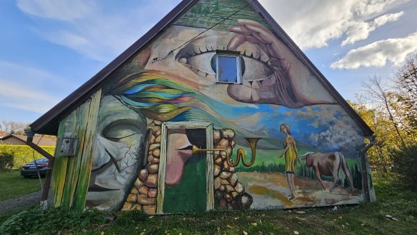 20241018 151931 Scaled